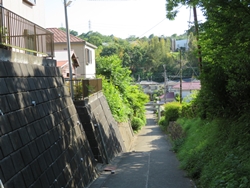 白山神社